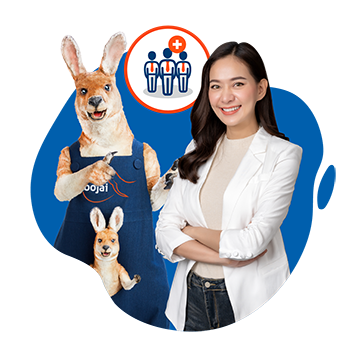 Best Employee Benefit  Insurance I Roojai Indonesia