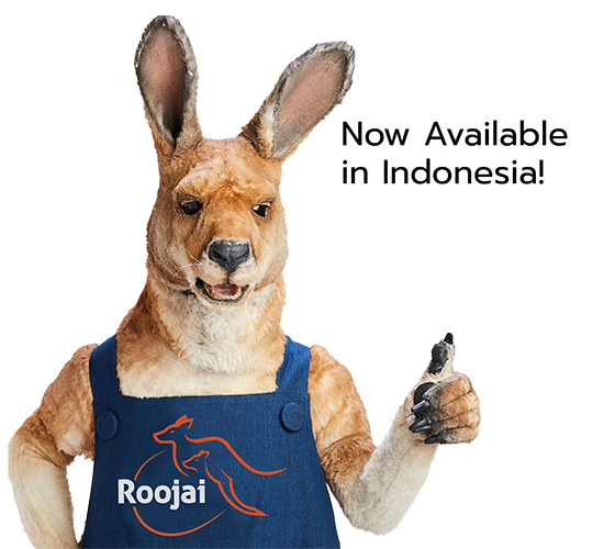 The most affordable and innovative online insurance in Southeast Asia is now available in Indonesia Roojai.co.id
