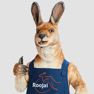 Roojai Indonesia professionals