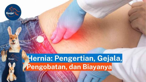 Penyakit Hernia | roojai.co.id