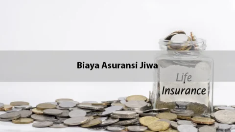 Biaya Asuransi Jiwa