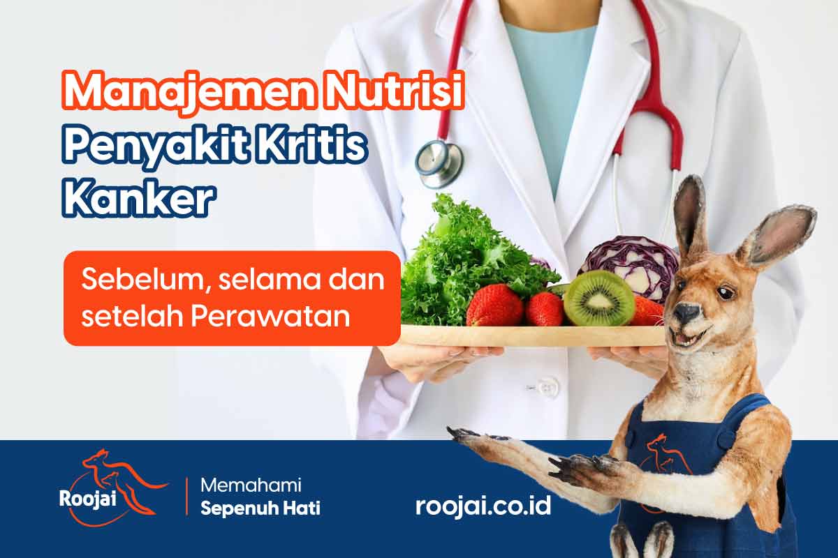 ilustrasi makanan bernutrisi bagi penderita kanker
