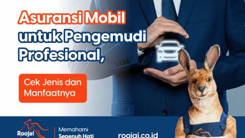 asuransi mobil untuk pengemudi profesional