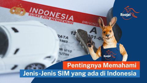 Pentingnya Memahami Jenis-Jenis SIM di Indonesia | roojai.co.id