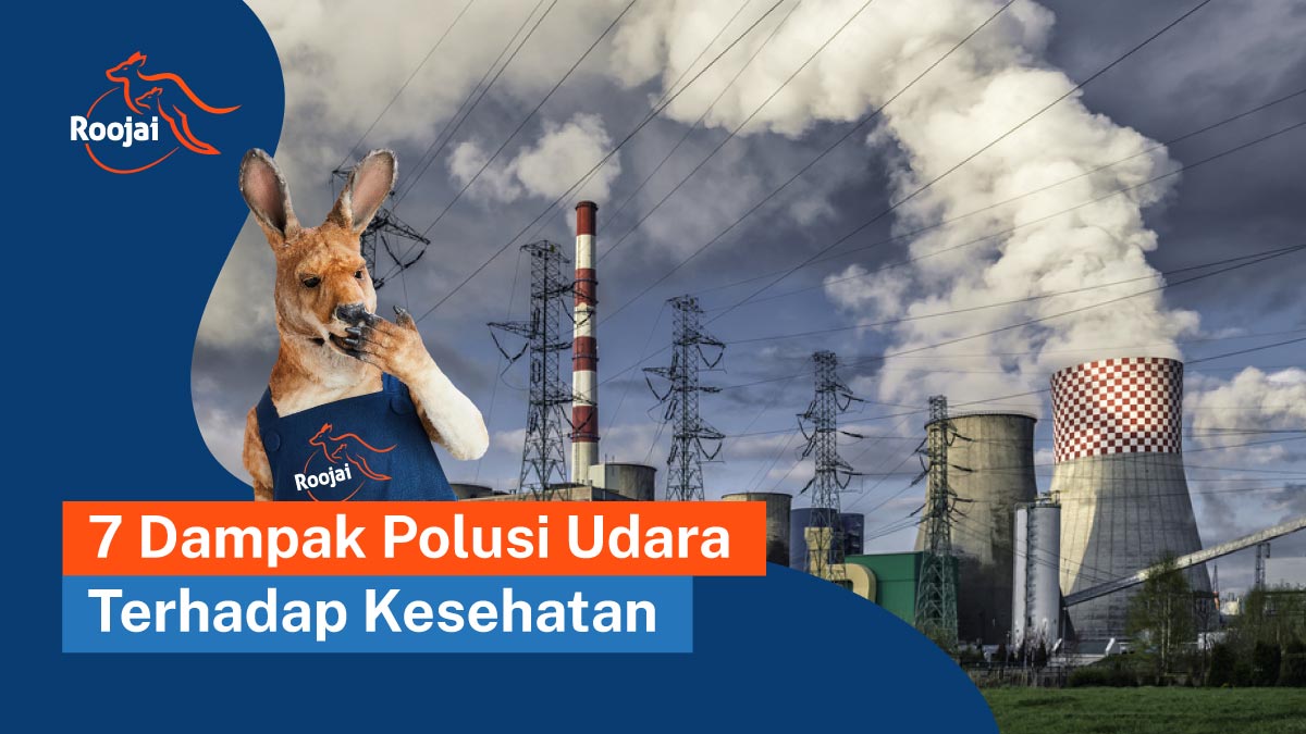 Dampak Polusi Udara terhadap Kesehatan | roojai.co.id