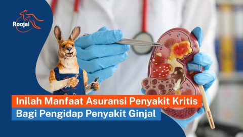 Manfaat Asuransi Penyakit Kritis Bagi Pengidap Penyakit Ginjal | roojai.co.id