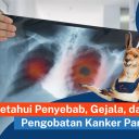 previous article