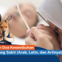 previous article