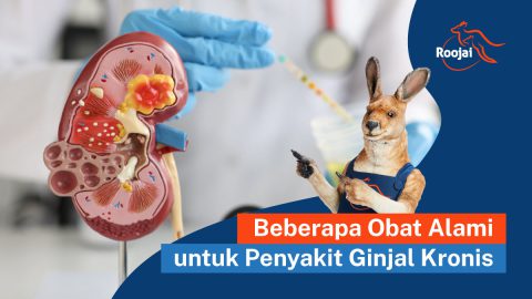 Obat Alami untuk Penyakit Ginjal Kronis | roojai.co.id