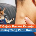 previous article